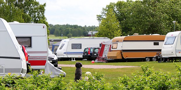 Bilden visar husvagnar på en camping